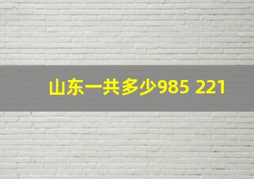 山东一共多少985 221